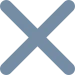 Times S SVG Icon